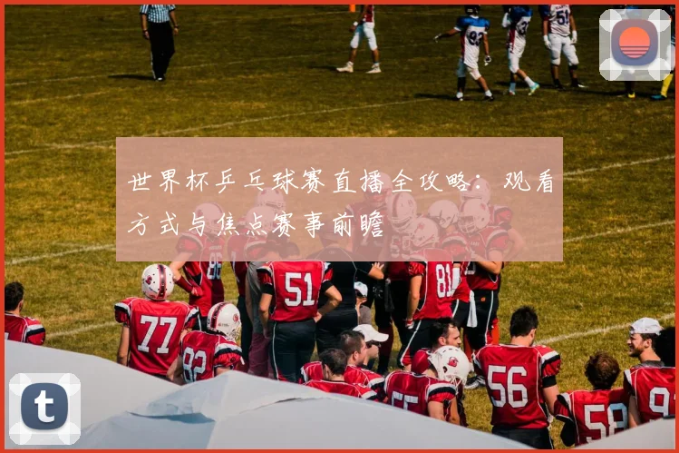 世界杯乒乓球赛直播全攻略：观看方式与焦点赛事前瞻