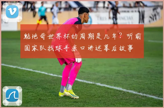 魁地奇世界杯的周期是几年？听前国家队找球手亲口讲述幕后故事