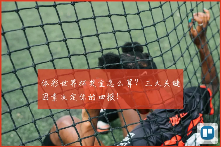 体彩世界杯奖金怎么算？三大关键因素决定你的回报！