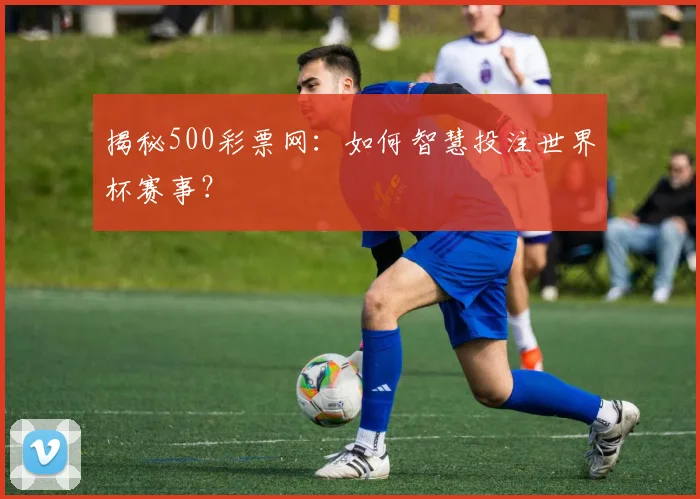 揭秘500彩票网：如何智慧投注世界杯赛事？