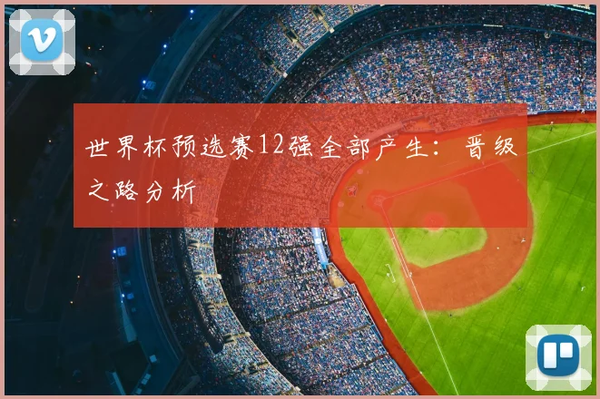 世界杯预选赛12强全部产生:晋级之路分析