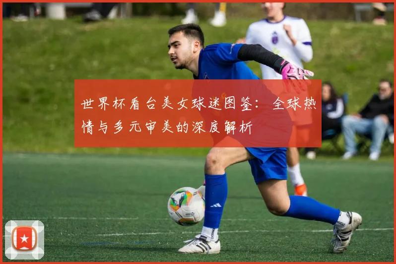 世界杯看台美女球迷图鉴：全球热情与多元审美的深度解析