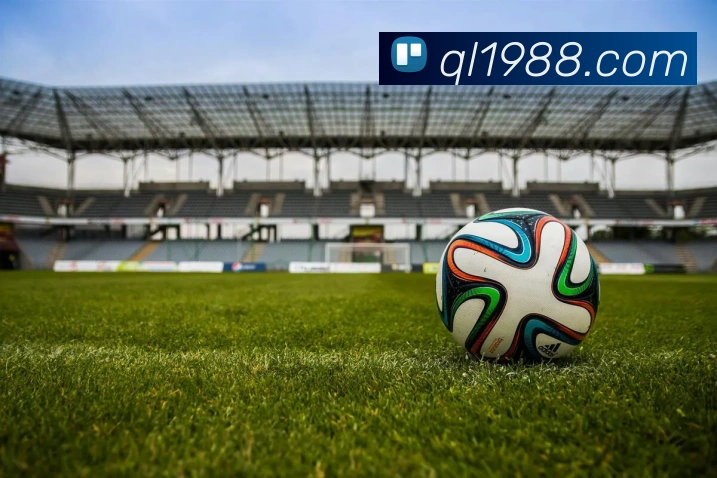 开云在线官网登录入口APP 体育赛事宣传图